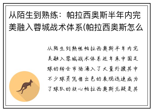从陌生到熟练：帕拉西奥斯半年内完美融入蓉城战术体系(帕拉西奥斯怎么样)