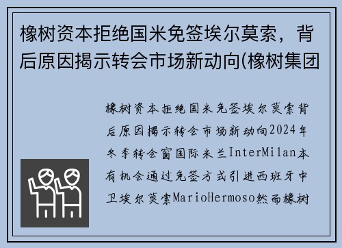 橡树资本拒绝国米免签埃尔莫索，背后原因揭示转会市场新动向(橡树集团)