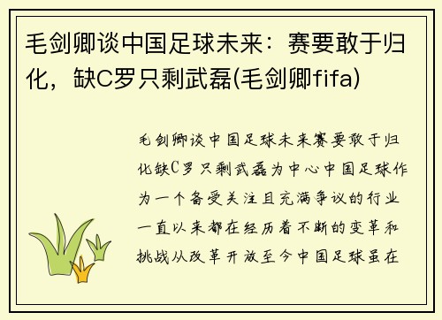 毛剑卿谈中国足球未来：赛要敢于归化，缺C罗只剩武磊(毛剑卿fifa)