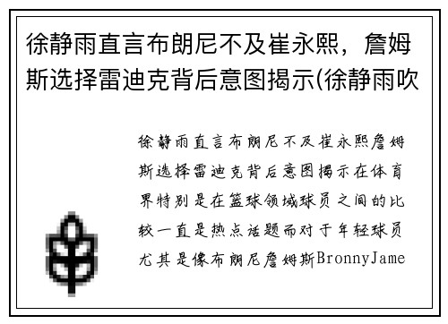 徐静雨直言布朗尼不及崔永熙，詹姆斯选择雷迪克背后意图揭示(徐静雨吹詹姆斯)