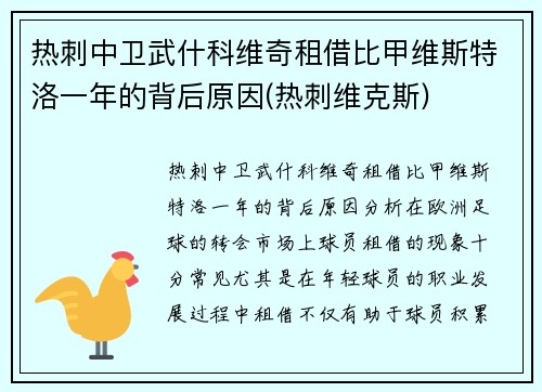 热刺中卫武什科维奇租借比甲维斯特洛一年的背后原因(热刺维克斯)